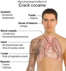 image showing the phisiological effects of crack cocaine