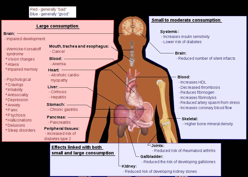 graph long term effects of ethanol