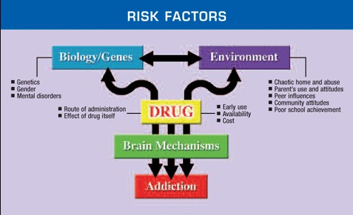 risk factors for addiction graph