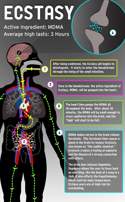 ecstasy-infographic