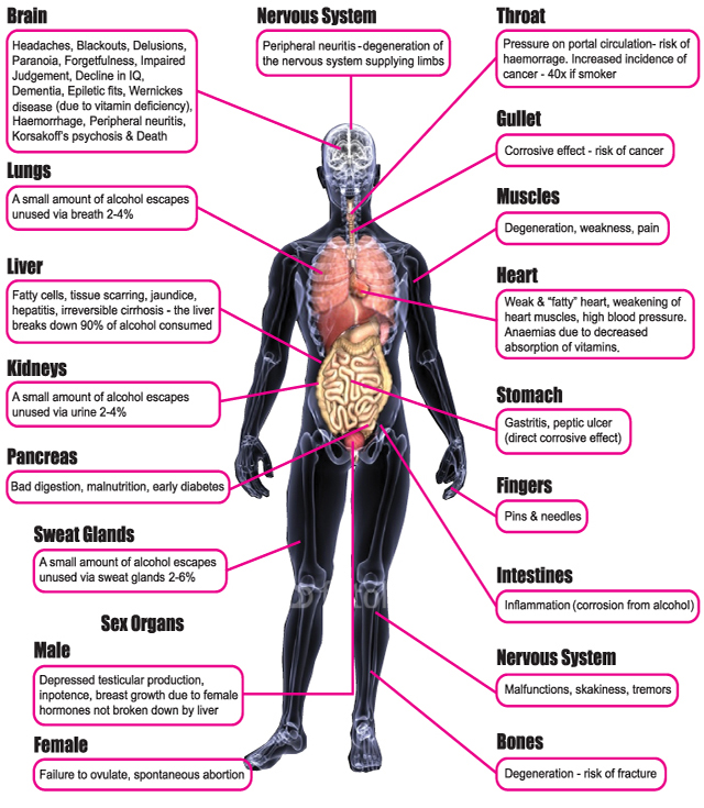 alcohol-effects