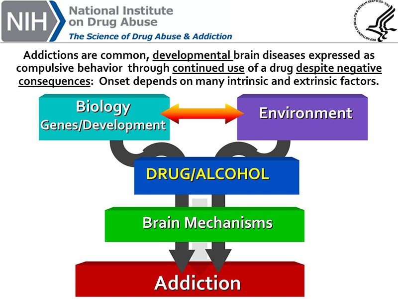 the science of drug abuse graph